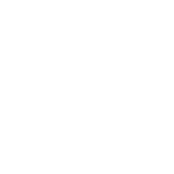 FranceFusion